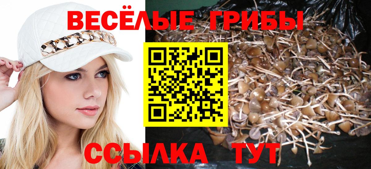 Псилоцибиновые грибы мицелий Саянск