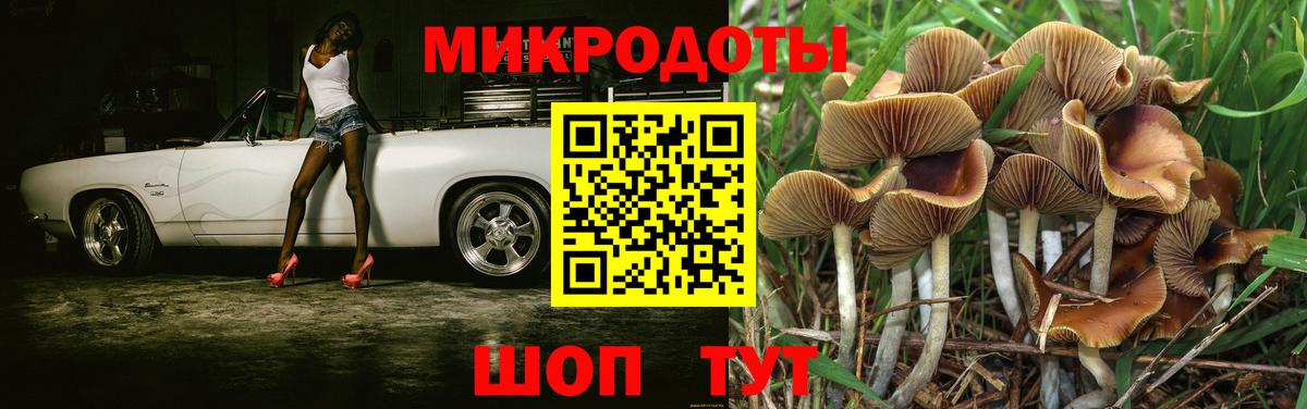 Галлюциногенные грибы прущие грибы  Вход с VPN  Саянск  Галлюциногенные грибы мухоморы 